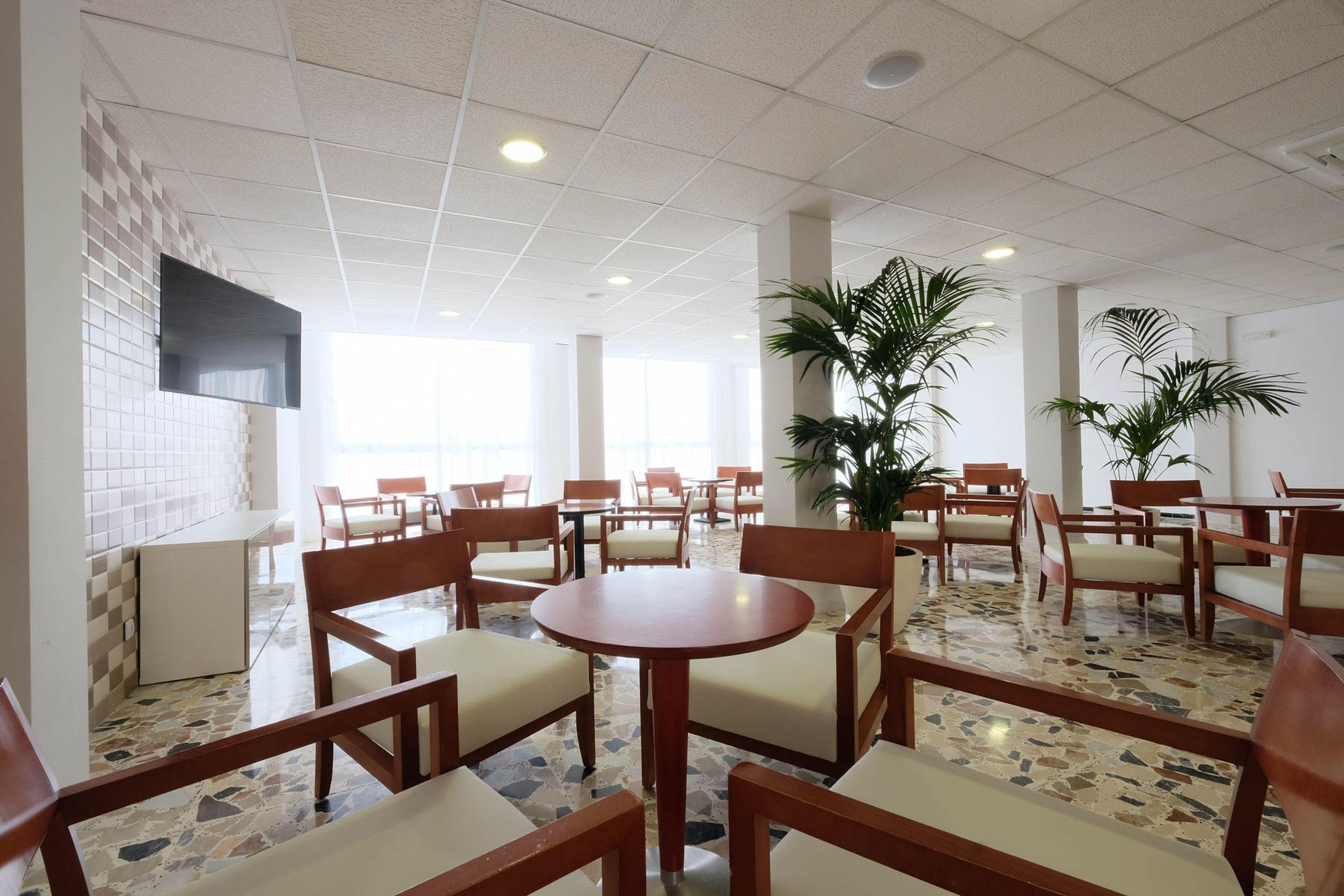 Azuline Hotel Palmanova Garden Exterior photo